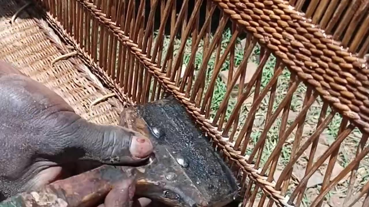 How to varnish furniture