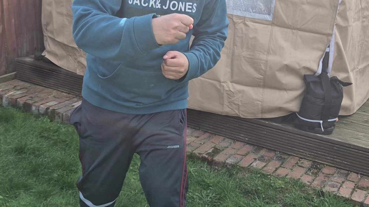 Boxing moves