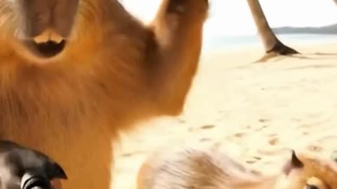 Mr.Mouse in Thailand with their GIRLFRIEND Vlog-2 #shorts