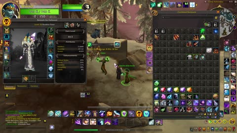 wowcraft in 2025 p69 - shadow priest dragon isles world quests then hunter does same then ruby life