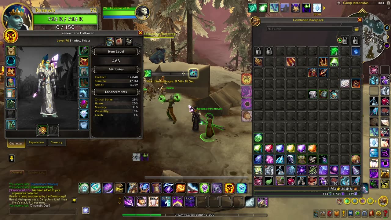 wowcraft in 2025 p69 - shadow priest dragon isles world quests then hunter does same then ruby life