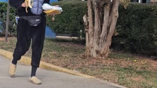 Gorilla suit prank on kids.