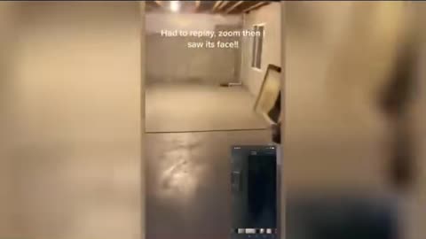 😱👻 Guy Investigates Noises in His Basement! | TheHauntingHour