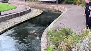 😂😱 You Won't Believe This Fail! Took 3 Days to Fall Down | FunFM