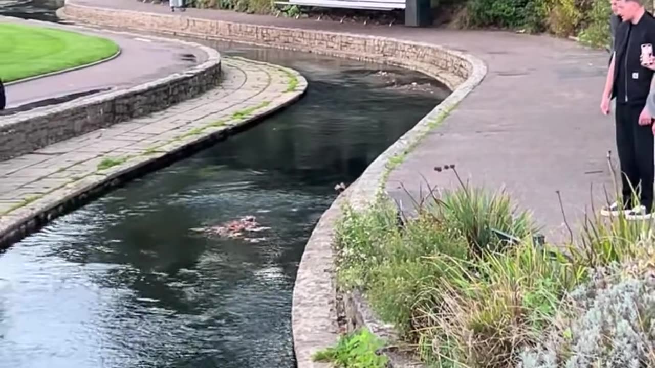 😂😱 You Won't Believe This Fail! Took 3 Days to Fall Down | FunFM