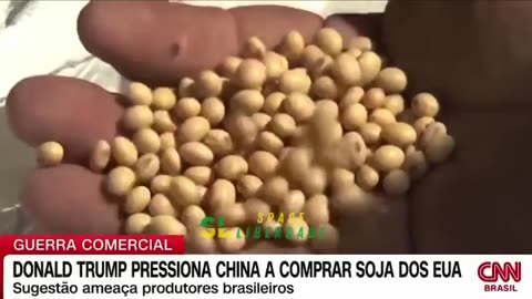 Donald Trump pressiona China a comprar soja dos Estados Unidos