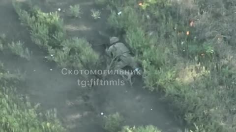 Somehow, He Survived