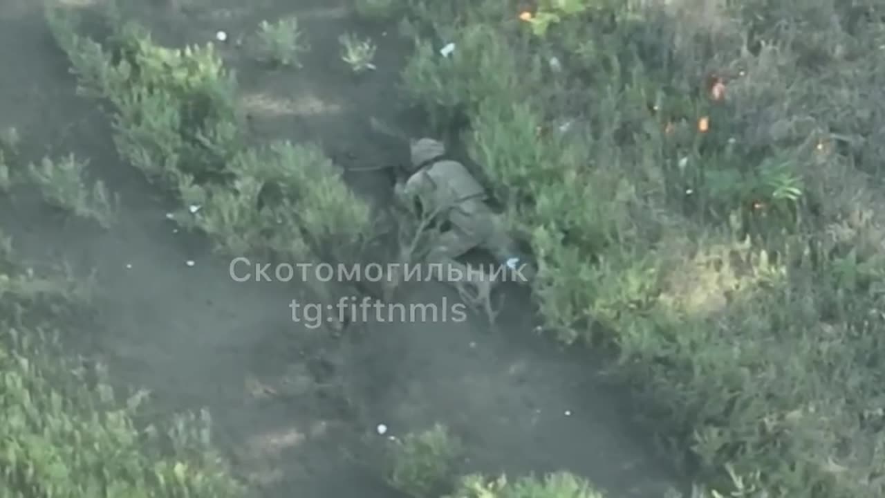 Somehow, He Survived