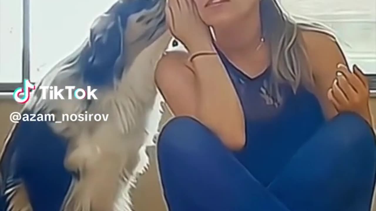 Very funny dog and cats 😅😅😅