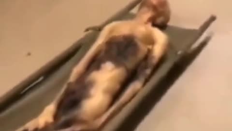 🛸😱 Dead Alien Corpse Documented on Camera! Is It Real? | TheHauntingHour