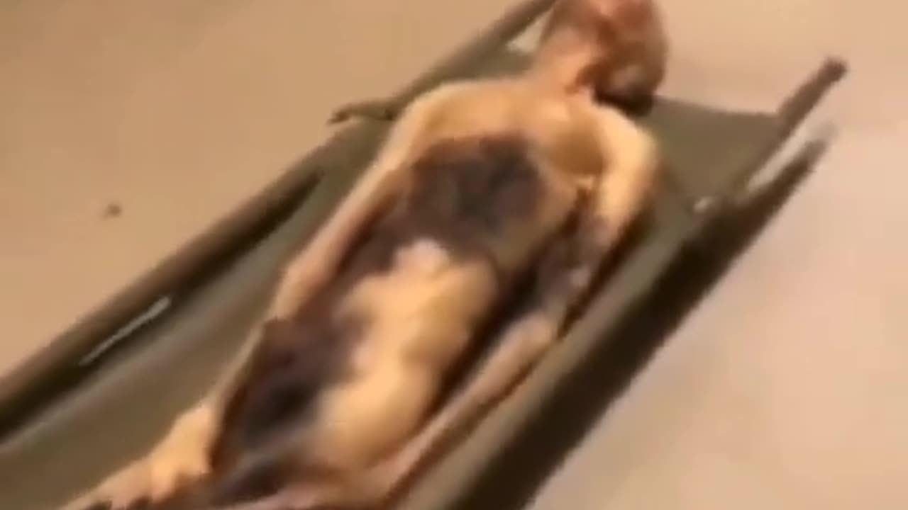 🛸😱 Dead Alien Corpse Documented on Camera! Is It Real? | TheHauntingHour