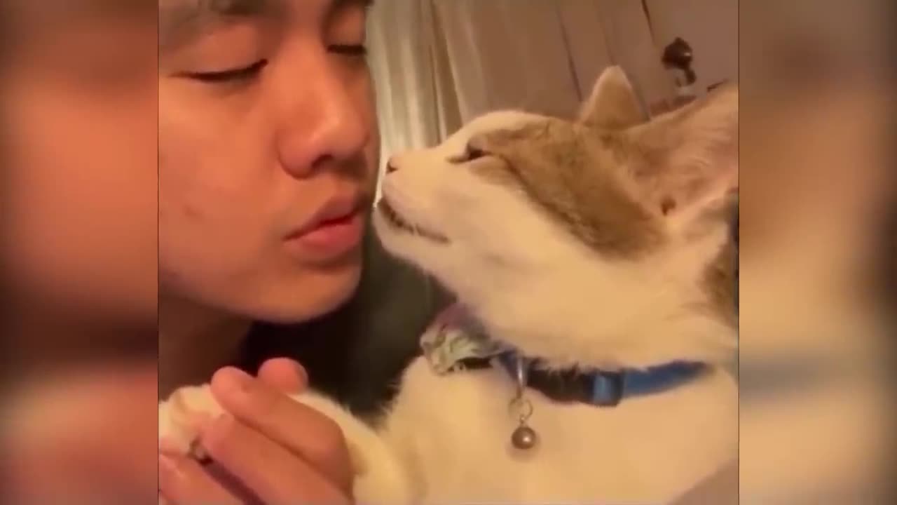 Typical cat behavior, nothing more, compilation 2025 😂