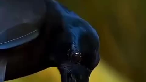 On target