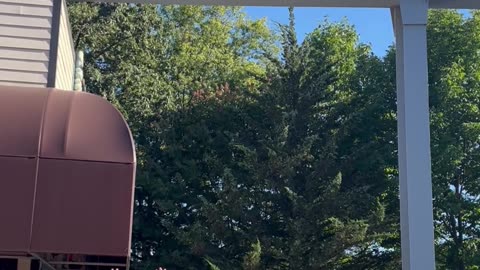 Child Walking On Amusement Ride Tracks Is Rescued