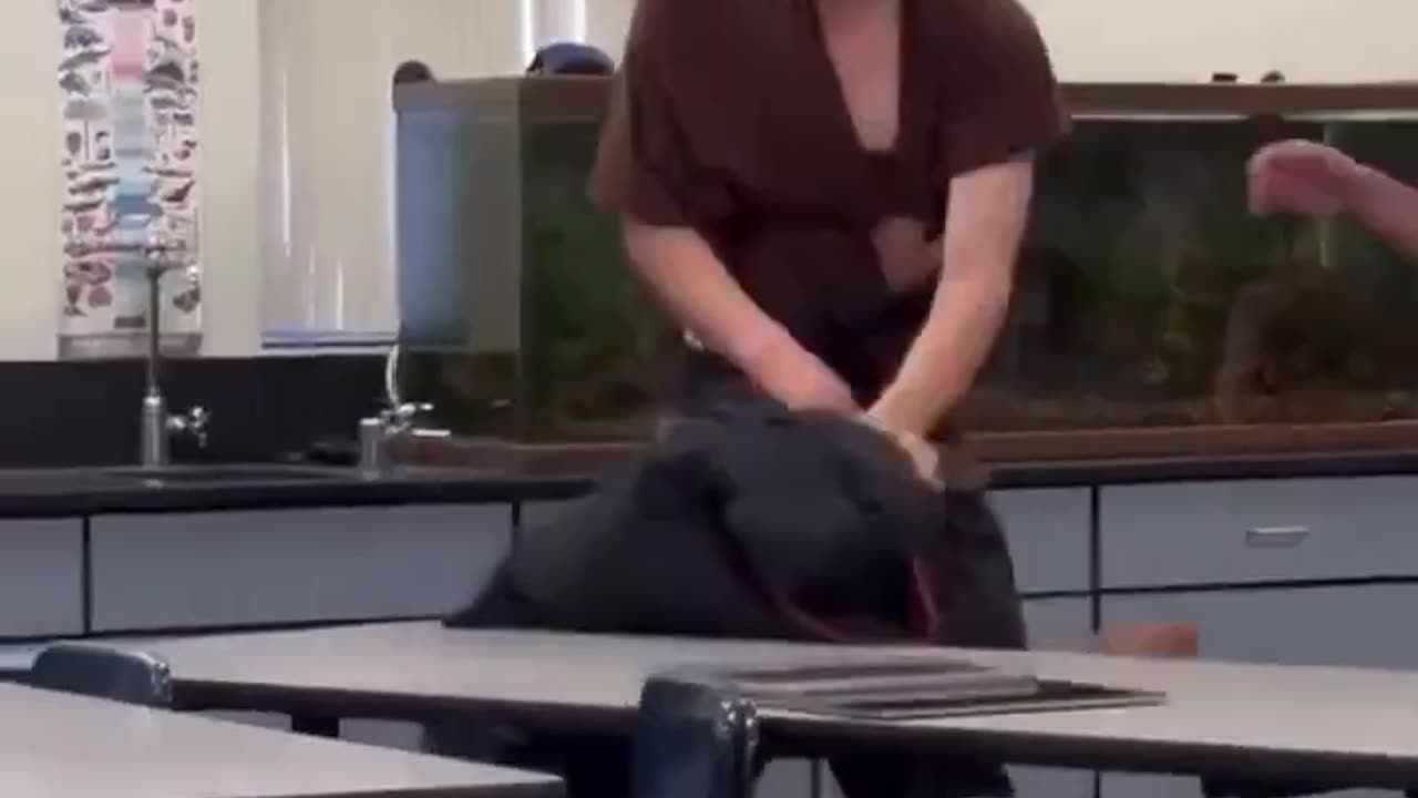 Female high school bully gets knocked out