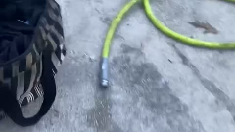 Tough Tote Bag Survives Car Fire