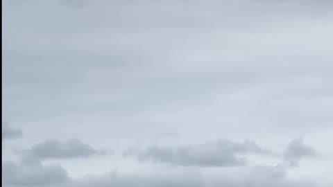 Daily Horoscope | Cancer 🌟