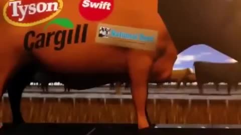 The meat industry is controlled by the top food companies.