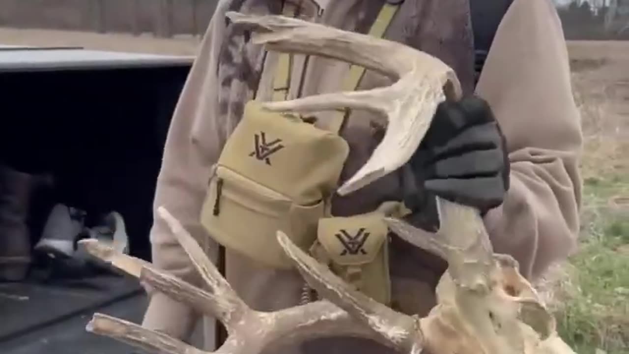 Monster bucks in Ohio! Definitely not the ideal way to come across them, but still incredible!