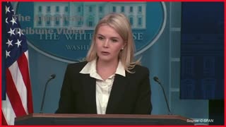 Woke Reporter Gets Absolutely Demolished after Trying to Lie to Karoline Leavitt’s Face