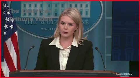 Woke Reporter Gets Absolutely Demolished after Trying to Lie to Karoline Leavitt’s Face