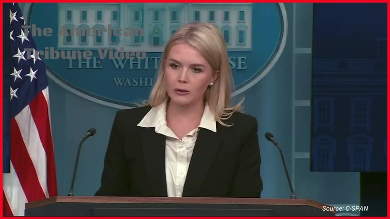 Woke Reporter Gets Absolutely Demolished after Trying to Lie to Karoline Leavitt’s Face