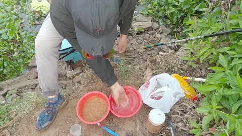 Fishing for Tench in a Tranquil Lakeside Spot