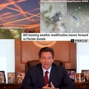 ☣️ BOOM! FLORIDA GOES TO WAR WITH GEOENGINEERING — CHEMTRAIL BAN BILL IGNITES NATIONAL