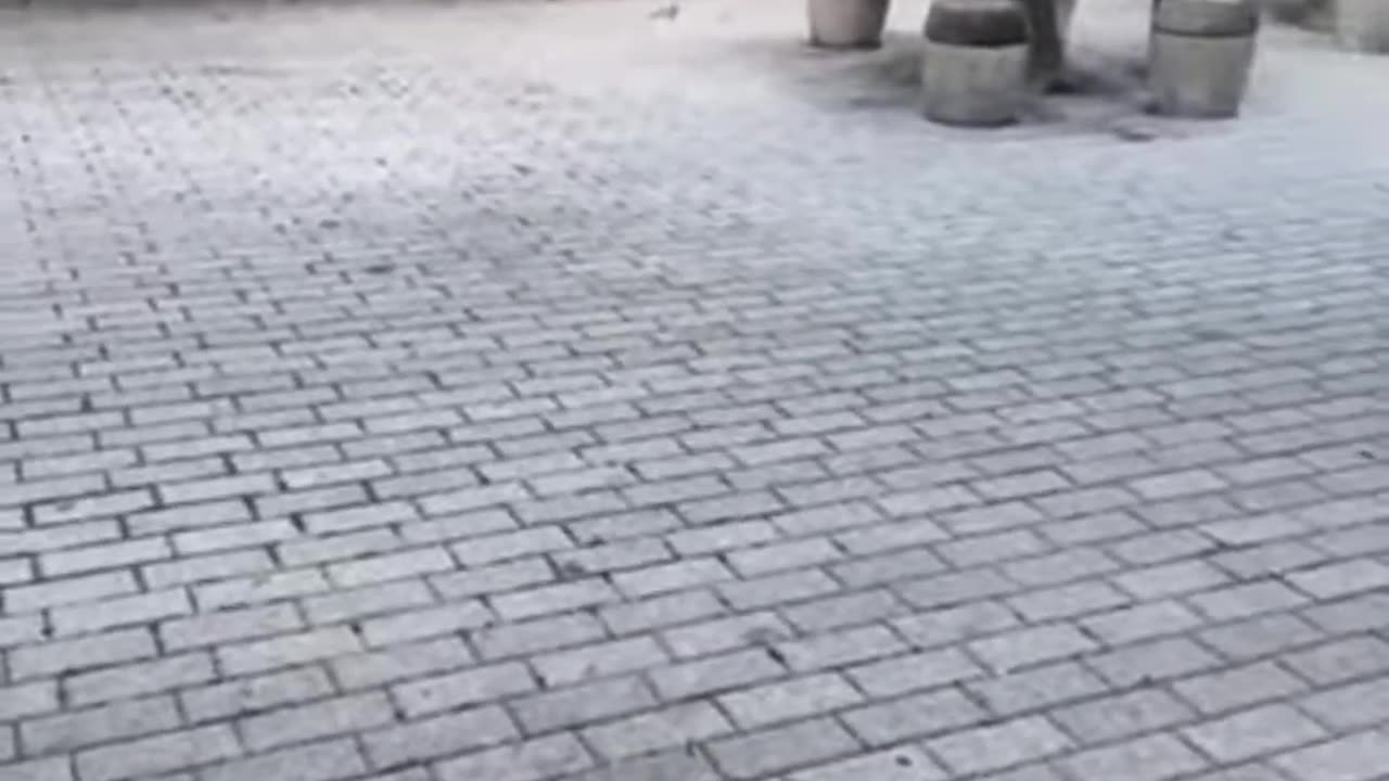 Hussy Members Only 9.2.25