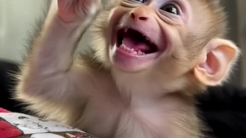 Pure Joy! Baby Monkey Having the Time of Its Life! 🐒❤️