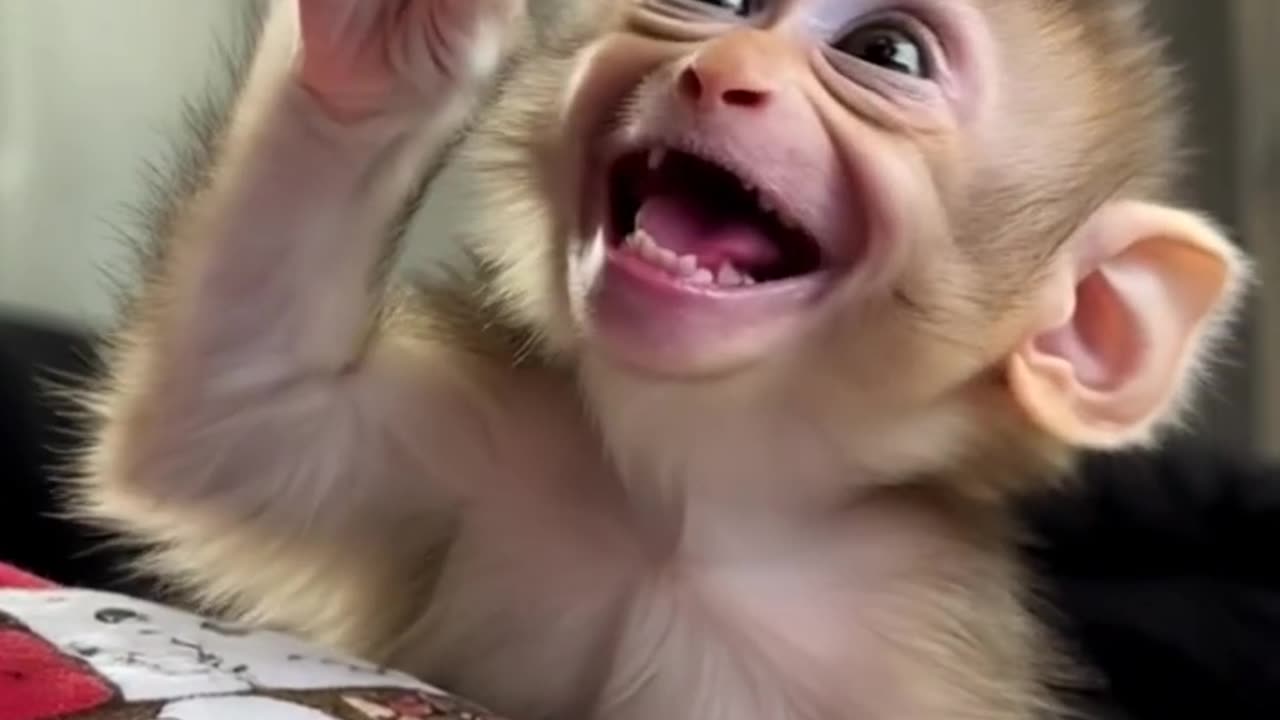 Pure Joy! Baby Monkey Having the Time of Its Life! 🐒❤️