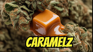 Carmelz Got Me MELTING?! 🧈💨 | LEGAL JK Distro Hemp Review