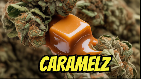 Carmelz Got Me MELTING?! 🧈💨 | LEGAL JK Distro Hemp Review