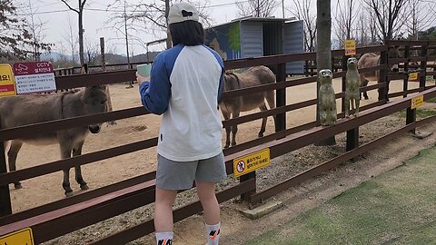 수목원 산책중