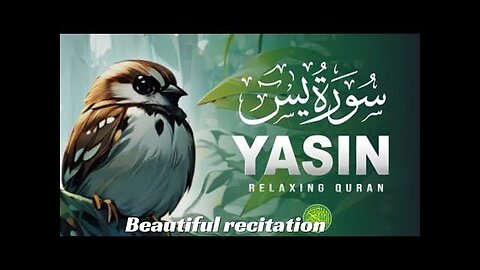 Surah Yaseen (سورة يس) | Heart Touching Quran Recitation by Hafiz Ali Hasan