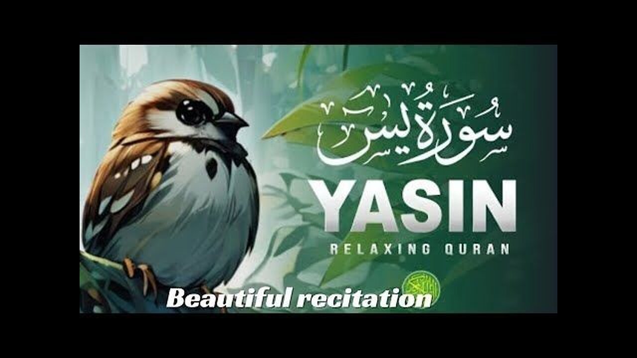 Surah Yaseen (سورة يس) | Heart Touching Quran Recitation by Hafiz Ali Hasan