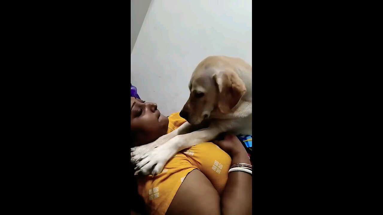 satisfying Video