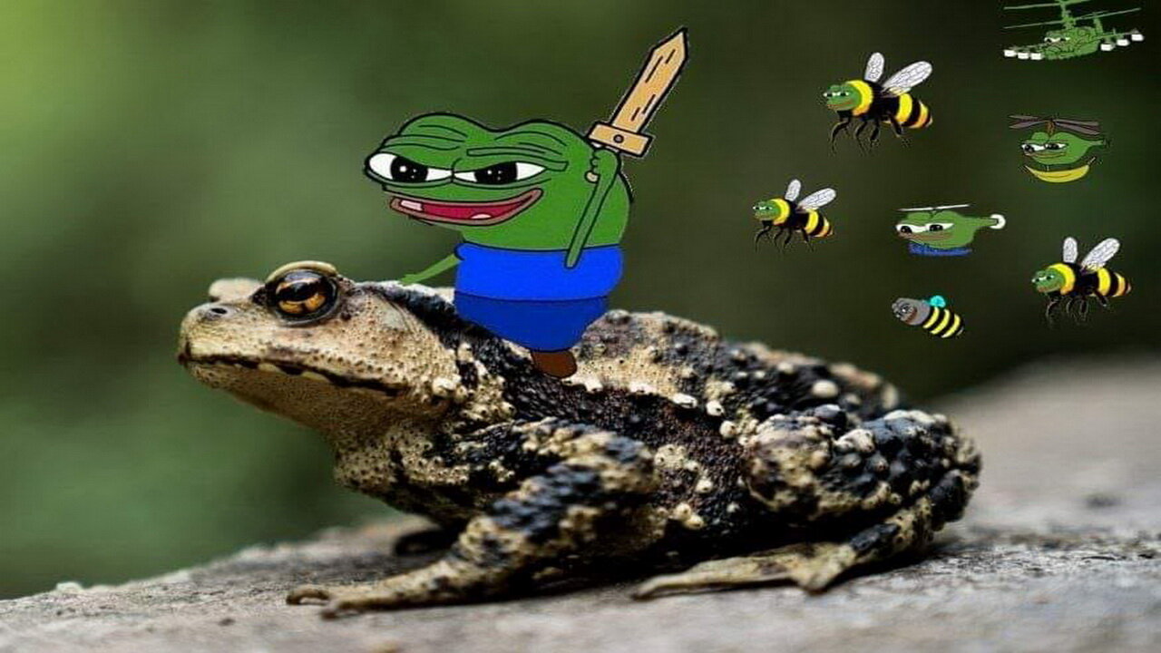 fren news17 + How do you SET a TRAP + 2