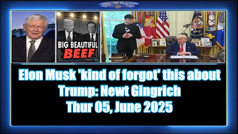 Elon Musk 'kind of forgot' this about Trump Newt Gingrich