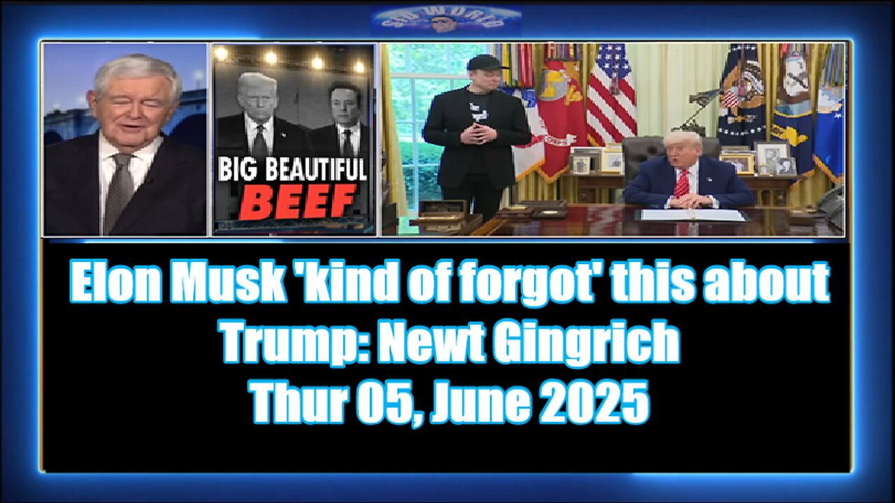 Elon Musk 'kind of forgot' this about Trump Newt Gingrich