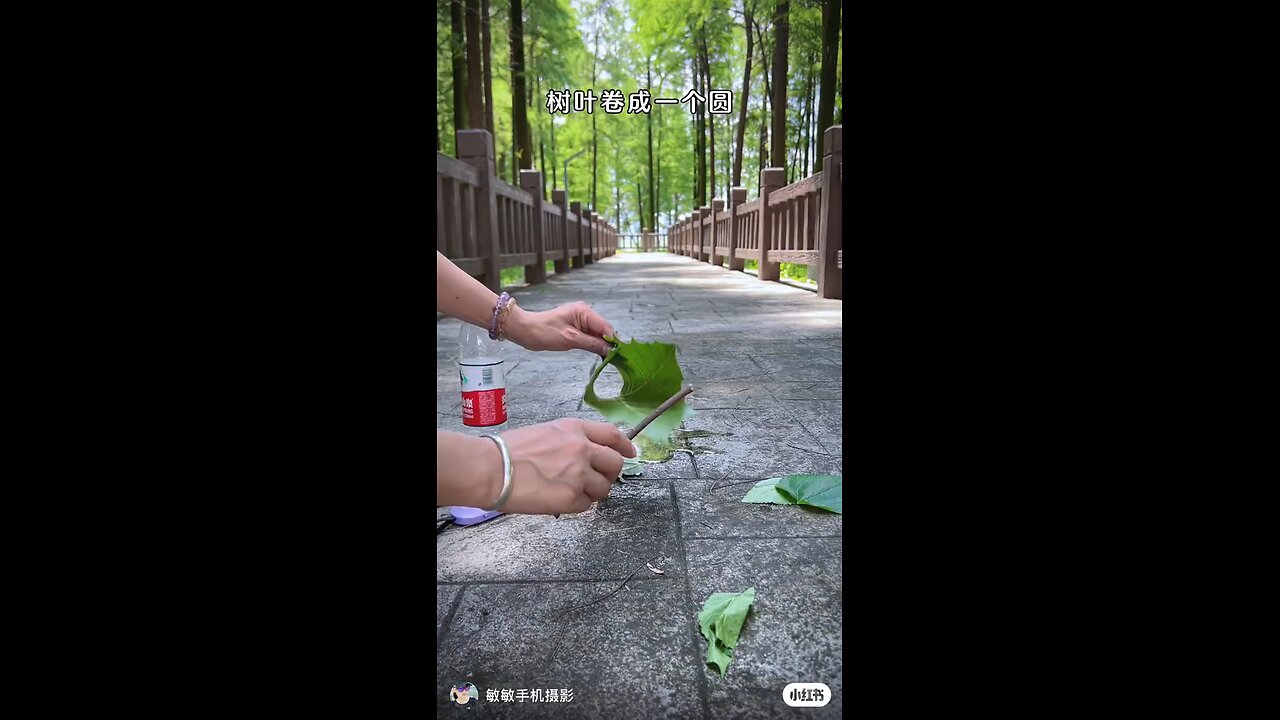 video amazing