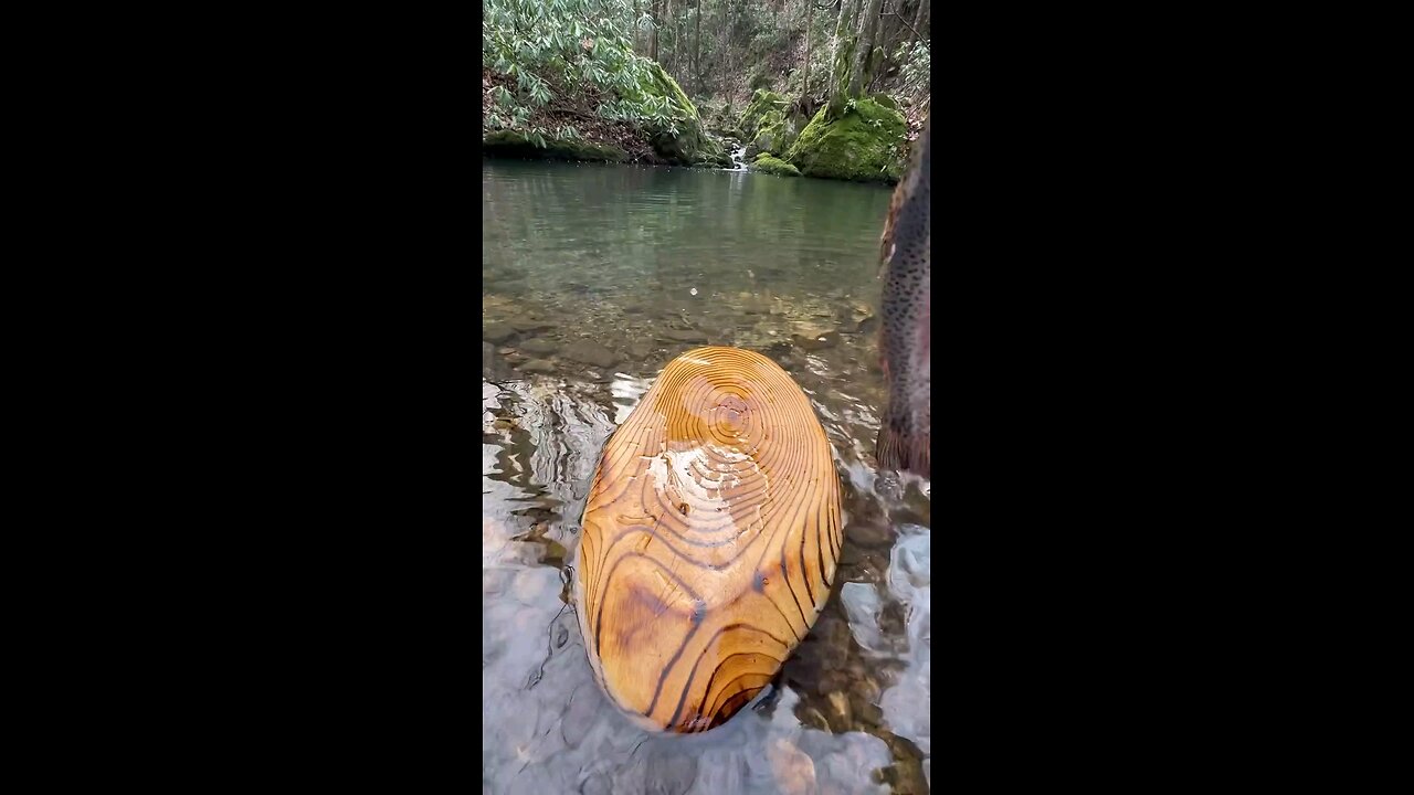 fish cooking near the river
