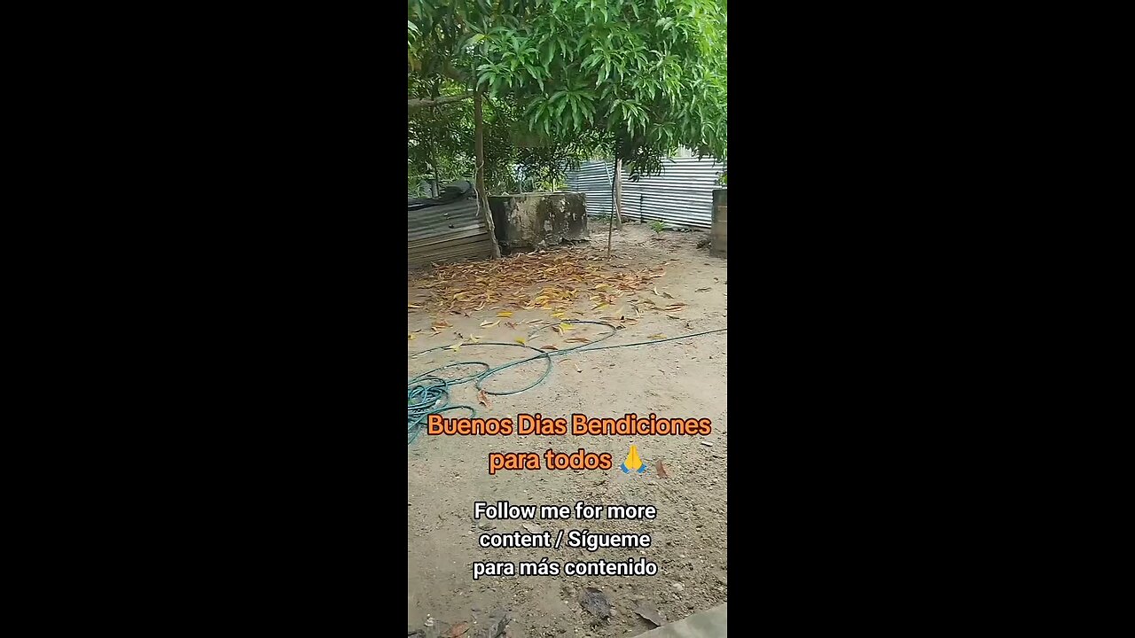 Un Día Tranquilo – Bendiciones / A Peaceful Day – Blessings 🫂🐕🦺❤️