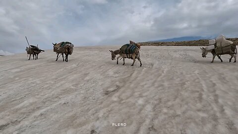 Video Title: Migrating to the cold region of Rig Mountain | The life of nomads in Iran | Part 4 🌟