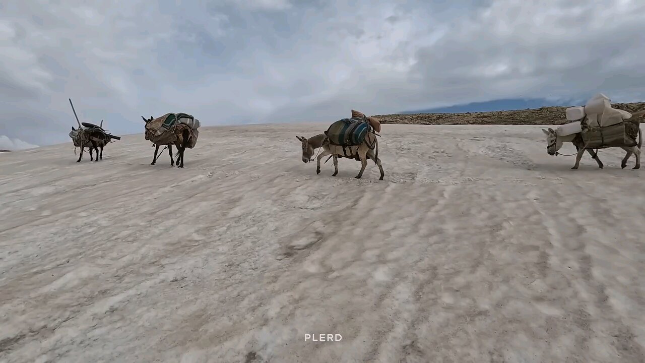Video Title: Migrating to the cold region of Rig Mountain | The life of nomads in Iran | Part 4 🌟