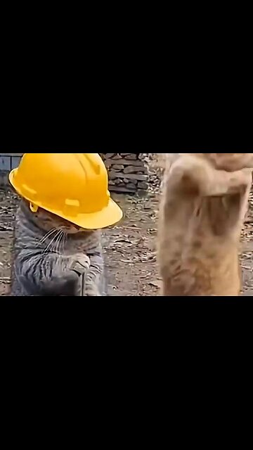 Hard Hat Testing....LOL