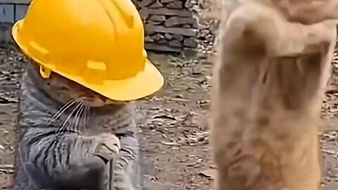 Hard Hat Testing....LOL