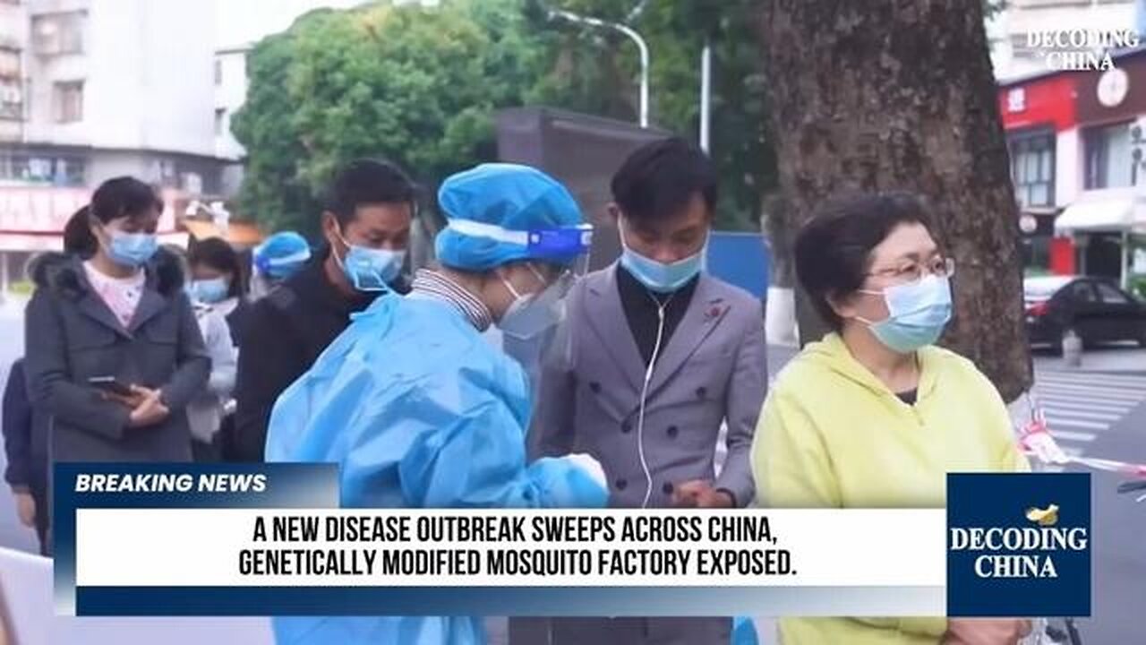 A Mosquito Virus Pandemic Begins?