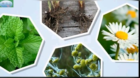 Exinj/Nettle