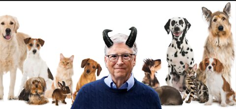 Bill Gates Caught Spiking Pet Vaccines With Depopulation Drugs